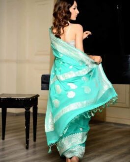 Pure Khaddi Chiffon Saree with Blouse | Pastel Blue